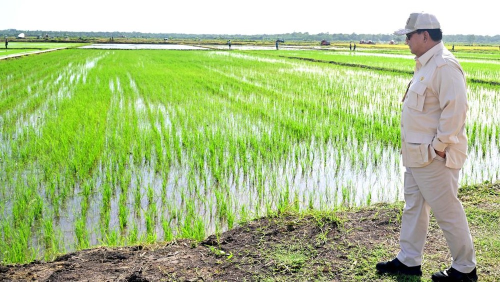 Inpres Mengejutkan! Prabowo Berhenti Impor Beras, Swasembada Jadi Target!