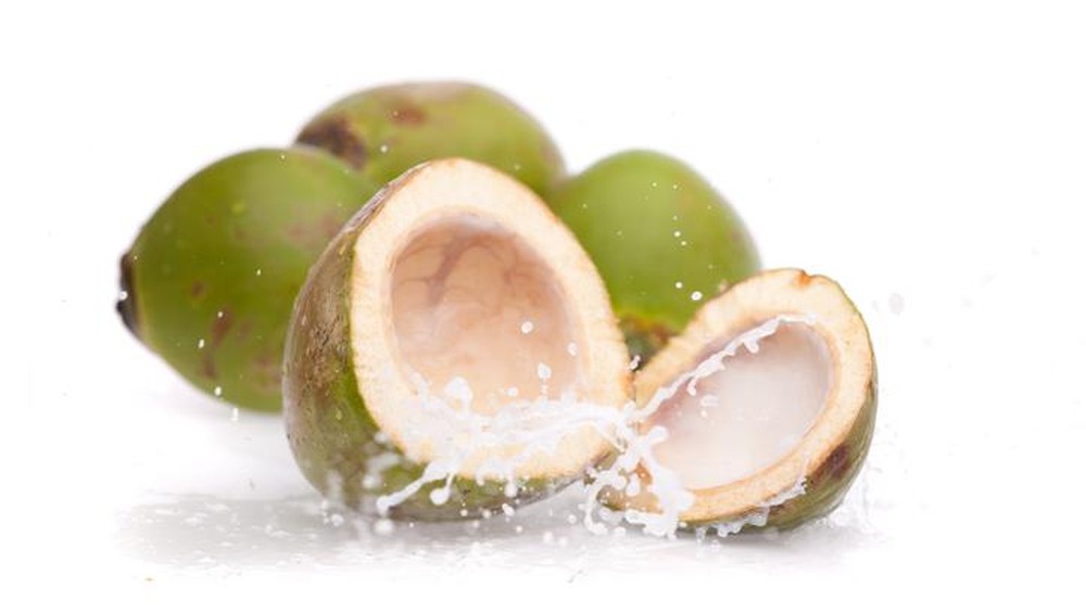 Gresik Gempar! 9 Dapur Program Makan Bergizi Gratis Distop BGN, Terkuak Alasan Mengejutkan di Balik Menu 'Kelapa Utuh' yang Jadi Sorotan Publik!