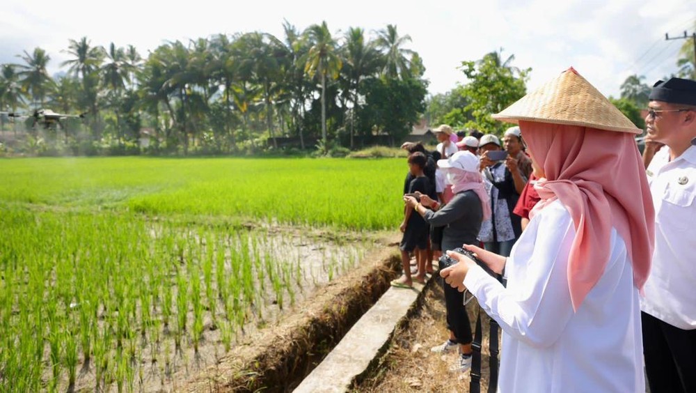 Banyuwangi Menggebrak! Produksi Padi Q1 2026 Tembus Angka Fantastis, Siap Jaga Stabilitas Harga Pangan Nasional dan Dongkrak Ekonomi Petani?