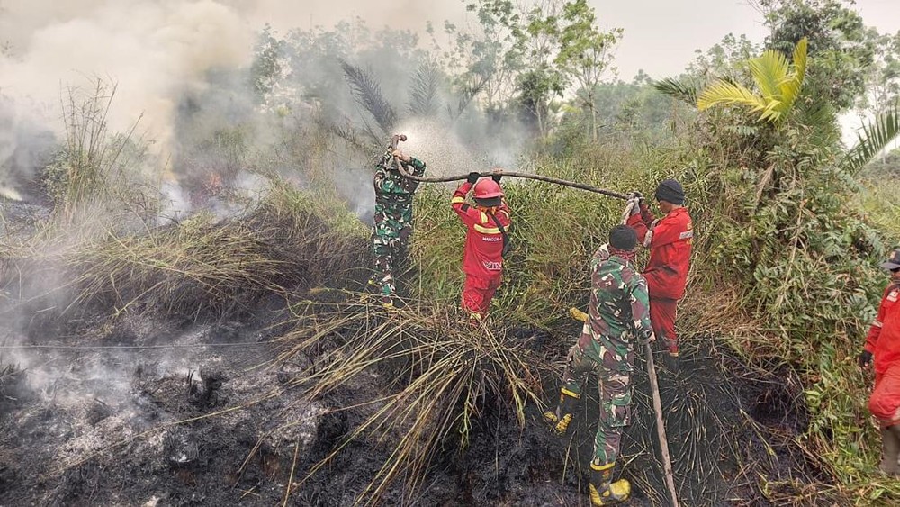 Revolusi Penanganan Karhutla: Prabowo Minta Warga Lapor Sebelum Buka Lahan, Siapkan Bantuan Alat Berat dan Anggaran Khusus! Apa Saja Keuntungannya?